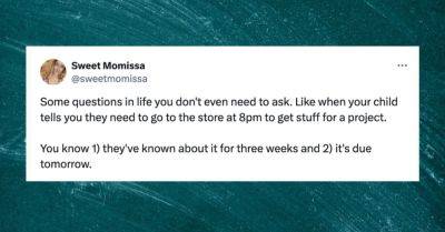 34 Tweets From Parents That Reveal The Truth About School Projects