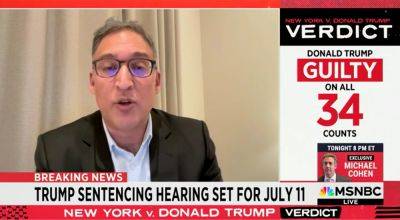 Alexander Hall - Neal Katyal - Chris Hayes - Ny V.Trump - MSNBC legal analyst warns liberals to not to ‘pop our champagne corks’ after Trump guilty verdict - foxnews.com - Usa - city New York