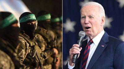 Gaza As - Biden admin should check Hamas' Ministry of Health death stats, expert warns - foxnews.com - Israel - Palestine