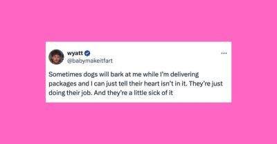 Elyse Wanshel - 27 Of The Funniest Tweets About Cats And Dogs This Week (May 25-31) - huffpost.com