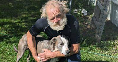Graeme Demianyk - Meet Blue, The Dog Who Traveled 4 Miles To Get Help For Owner Trapped In Ravine - huffpost.com - city New York - New York - state Idaho - state Oregon