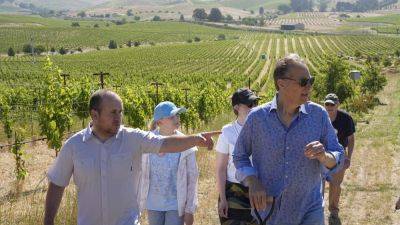 Ukrainian winemakers visit California’s Napa Valley to learn how to heal war-ravaged vineyards