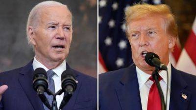 Paul Steinhauser - Fox - Trump and Hunter Biden guilty verdicts effect on voter sentiment probed in new poll - foxnews.com