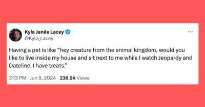 21 Of The Funniest Tweets About Cats And Dogs This Week (June 8-14)