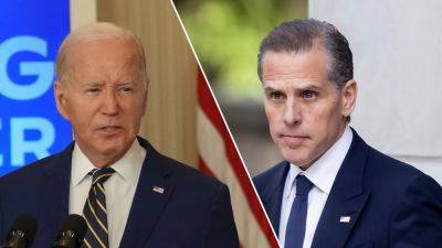 Hanna Panreck - Ashley Biden - Fox - Biden angered, distracted by political attacks on his family: 'Impenetrable sadness' - foxnews.com