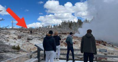 Yellowstone Visitor Sentenced To A Week In Jail Over 'Dangerous' Act