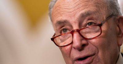 Chuck Schumer Accused Of Staging ‘Fake’ Father’s Day Photo Of Himself Grilling
