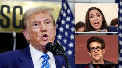 Trump - Rachel Maddow - Hanna Panreck - Fox - Freakout: Liberal media pundits, Democratic lawmakers worry Trump will throw them in jail, 'massive camps' - foxnews.com