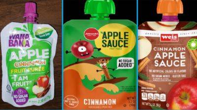 Dollar Tree left lead-tainted applesauce pouches on store shelves for weeks after recall, FDA says - apnews.com - state Virginia - state Washington - Ecuador