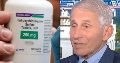 Donald Trump - Anthony Fauci - Ron Dicker - Ari Melber - Laura Ingraham - Anthony Fauci Says Trump Got Hydroxychloroquine Idea From Right-Wing TV Host - huffpost.com - Usa - New York