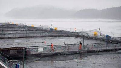 Feds delay closure of B.C.'s open-net salmon farms until 2029 - cbc.ca - Britain - Canada - city Columbia, Britain