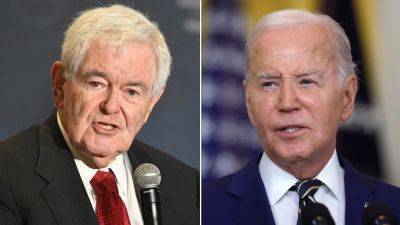 Biden faced with three 'very different problems' in bid to defeat Trump, says Newt Gingrich