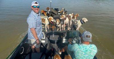 Hilary Hanson - Trio Of Fishermen Rescues 38 Dogs From Drowning In Lake - huffpost.com - state Mississippi - Jordan - county Lake