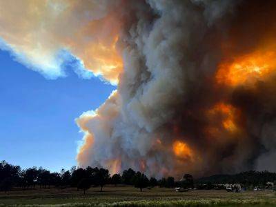 Joe Biden - Via AP news wire - Southern - Rains help firefighters gain ground on large wildfires in southern New Mexico - independent.co.uk - state New Mexico