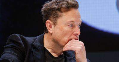 Fleet Of Tesla Cybertrucks Defaced With 'F**k Elon' Graffiti In Florida