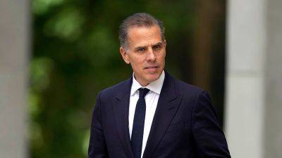 Tierney Sneed - Maryellen Noreika - Hunter Biden officially seeks new trial in gun case, citing supposed procedural hiccup - edition.cnn.com - Usa