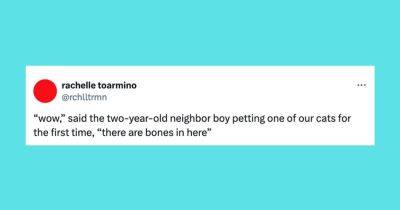 Hilary Hanson - 22 Of The Funniest Tweets About Cats And Dogs This Week (June 22-28) - huffpost.com
