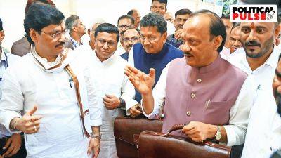 Eknath Shinde - Shubhangi Khapre - Ajit Pawar - Poll-hit Mahayuti govt budgets for Assembly elections in its sop rollout - indianexpress.com - city Mumbai