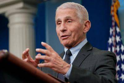 Watch live: Fauci grilled by House Republicans over Covid-19 response
