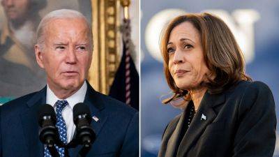 Joe Biden - Kamala Harris - Trump - Josh Shapiro - Andy Beshear - Gavin Newsom - Newt Gingrich - Gretchen Whitmer - Fox - Biden or Harris for president? The surprising reason to stick with Joe - foxnews.com