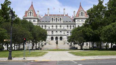 New York’s top court allows ‘equal rights’ amendment to appear on November ballot - apnews.com - city New York - New York - state Republican