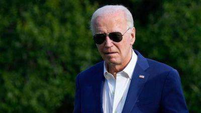 Donald Trump - Elizabeth Elkind - Seth Moulton - Mike Quigley - Angie Craig - Raúl Grijalva - Lloyd Doggett - General Election - House Dems calling for Biden to step down won't say if they'll back him in general election - foxnews.com - state Texas - state Illinois - city Chicago