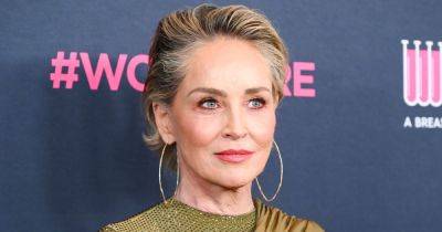 Curtis M Wong - Sharon Stone Reveals She Lost A Staggering $18 Million After Stroke 23 Years Ago - huffpost.com - county Stone - city Sharon, county Stone