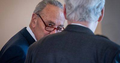 Chuck Schumer - Carl Hulse - Decision Time for Chuck Schumer? - nytimes.com - New York