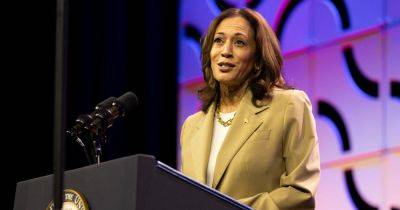 Harris Outdoes Biden in 2 State Polls but Has Her Own Weaknesses