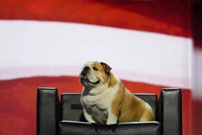 Joe Manchin - Donald J.Trump - Andrew Feinberg - Jim Justice - Jim Justice’s Babydog steals show on second night of Republican convention - independent.co.uk - Britain - state West Virginia - county Vance