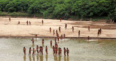 Nina Golgowski - Rare Video Shows Isolated Indigenous Tribe Emerging From Amazon Amid Nearby Logging - huffpost.com - Usa - Brazil - Peru - Bolivia