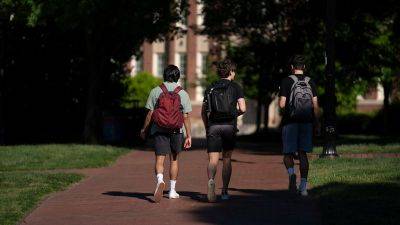 Appeals court halts fresh Biden administration efforts to cancel some student debt