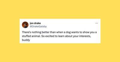 29 Of The Funniest Tweets About Cats And Dogs This Week (July 13-19)
