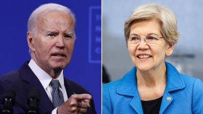 Elizabeth Warren hedges on support for Biden staying in the race: He has a 'really big decision to make'
