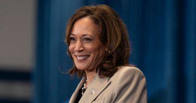 The Democrats who could be Kamala Harris' running mate — or challenge her for the nomination
