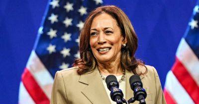 Joe Biden - Kamala Harris - Alex SeitzWald - Democrats who want to run against Harris for nomination have only days to get in the race - nbcnews.com - city Chicago