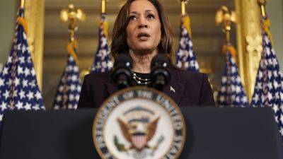 When will Kamala Harris be the official Democratic presidential nominee?