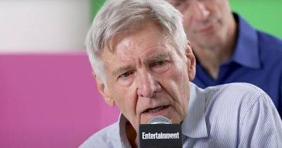 'I Will Not Answer That Stupid Question': Harrison Ford Has No Time For This