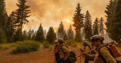 California's 'Monster' Park Fire Is Now One Of The State's Largest On Record