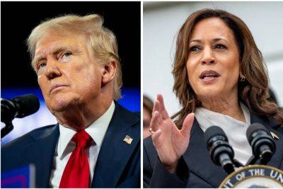 Trump says world leaders will walk all over Harris because of ‘how she looks’ in latest misogynist rant