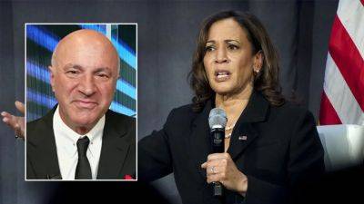 Kevin O’Leary says Kamala Harris 'happy talk' will end soon: 'What has she actually done?'