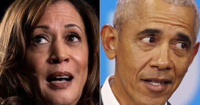 Joe Biden - Donald Trump - Kamala Harris - Hillary Clinton - Barack Obama - Kelby Vera - Fox Business Guest Accuses Media Of Trying To ‘Sell’ Kamala Harris As ‘Obama In A Skirt’ - huffpost.com - Usa - India