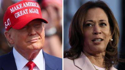 Harris leads Trump in three major election battlegrounds, new poll finds