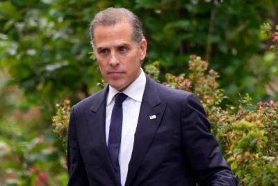 Joe Biden - David Weiss - ALANNA DURKIN RICHER - Action - Hunter Biden's lawyers say claims about foreign business dealing have no place in upcoming tax trial - independent.co.uk - Los Angeles - Romania