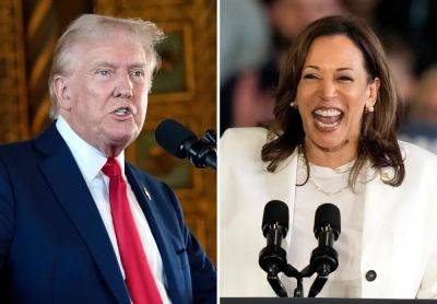 Joe Biden - Donald Trump - Kamala Harris - Gustaf Kilander - Frank Luntz - Republican pollster on why Trump is his own worst enemy right now - independent.co.uk - state Pennsylvania - New York - state Michigan - state Wisconsin