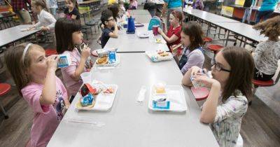 Why Are Free School Lunches Becoming a Campaign Issue?