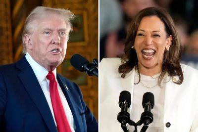 Kamala Harris uses Trump’s own words and his social platform to troll Musk interview