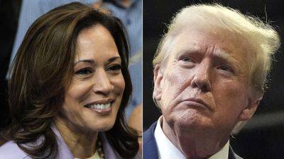 Kamala Harris - Trump - Greg Norman - Americans view Harris as more honest than Trump, but trust her less on economy, immigration: poll - foxnews.com - Usa - county Harris