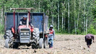 Nick Murray - UN report on Canada's temporary foreign workers details the many ways they've been abused - cbc.ca - Canada - county York