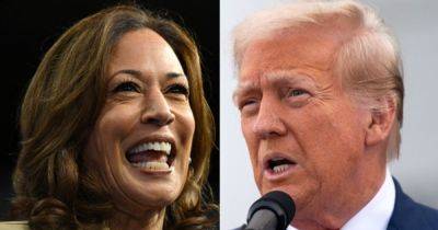 Joe Biden - Donald Trump - Kamala Harris - Ben Blanchet - Frank Luntz - GOP Pollster Spots Harris' 'Tremendous Advantage' Over Trump: 'Does He Want To Lose?' - huffpost.com